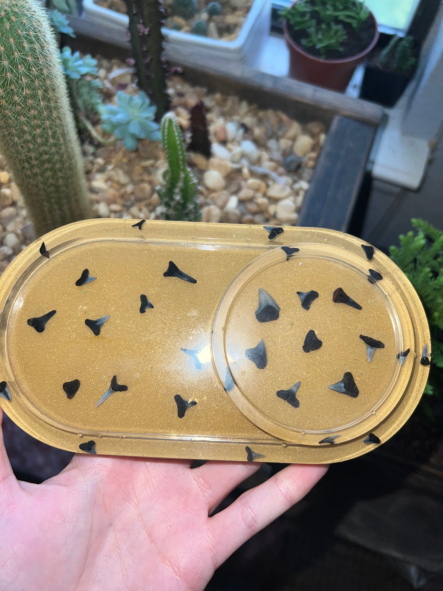 Handmade gold sharks tooth trinket dish & coaster set