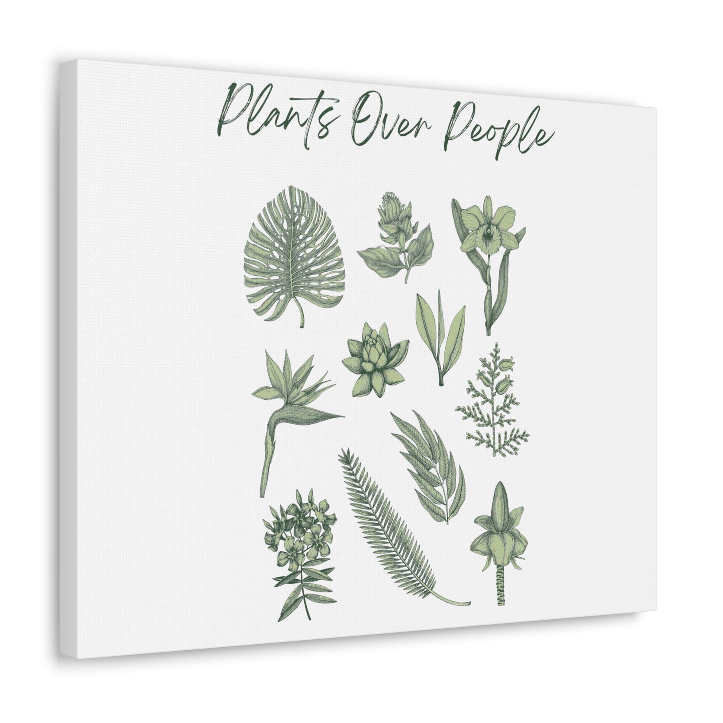 Plants Over People Canvas Gallery Wraps