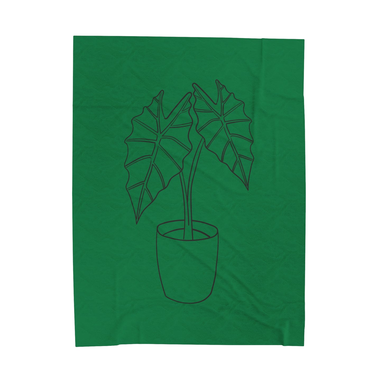 Alocasia Velveteen Plush Blanket