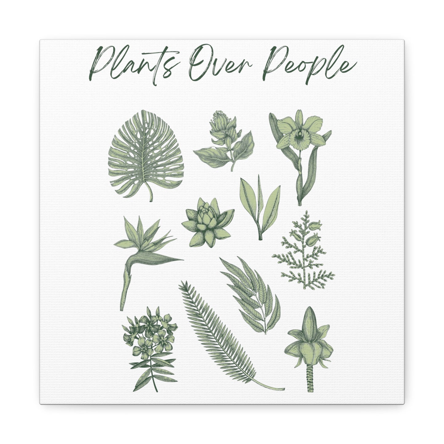 Plants Over People Canvas Gallery Wraps