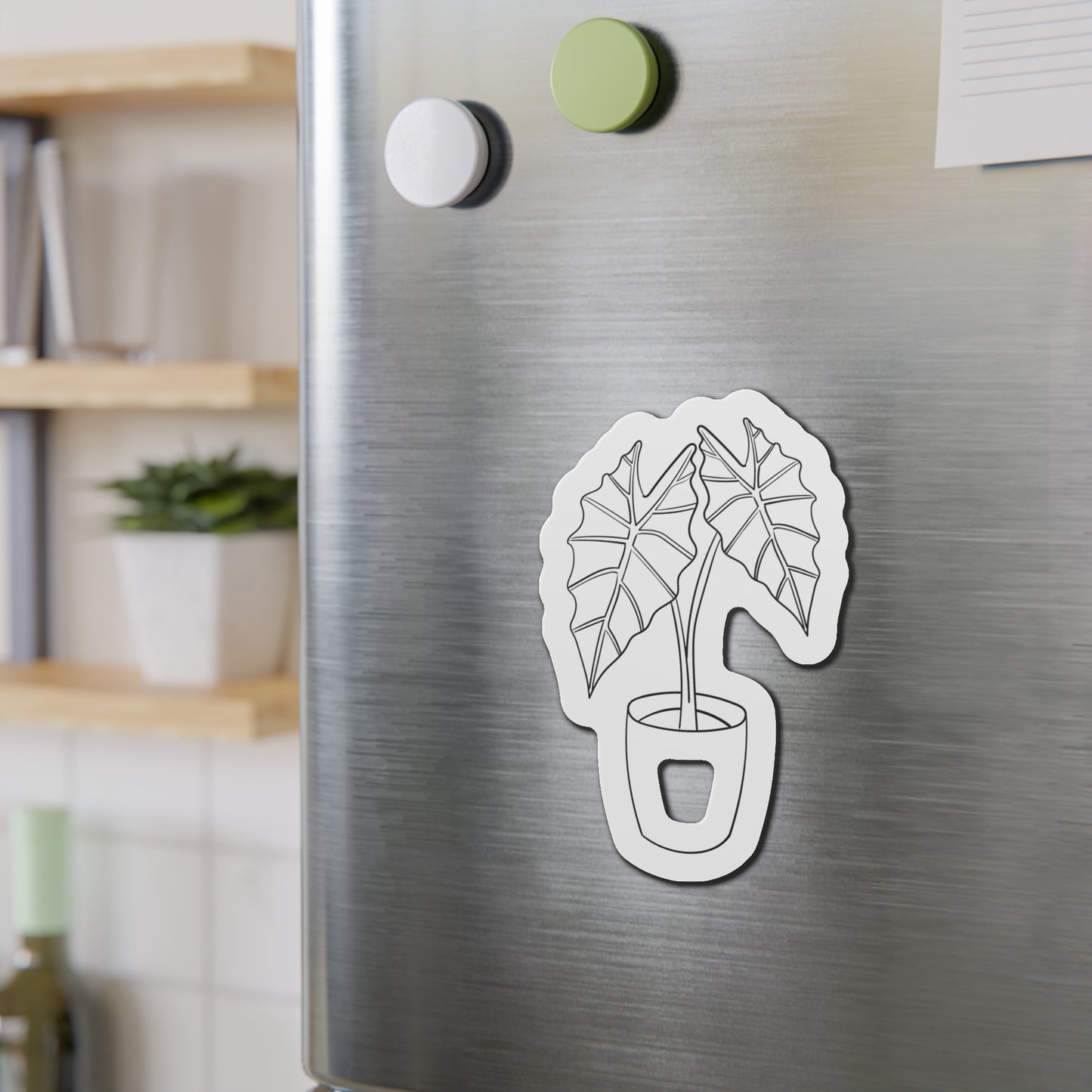 Alocasia Magnets