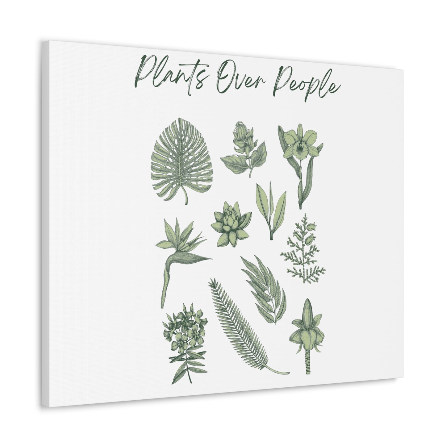 Plants Over People Canvas Gallery Wraps