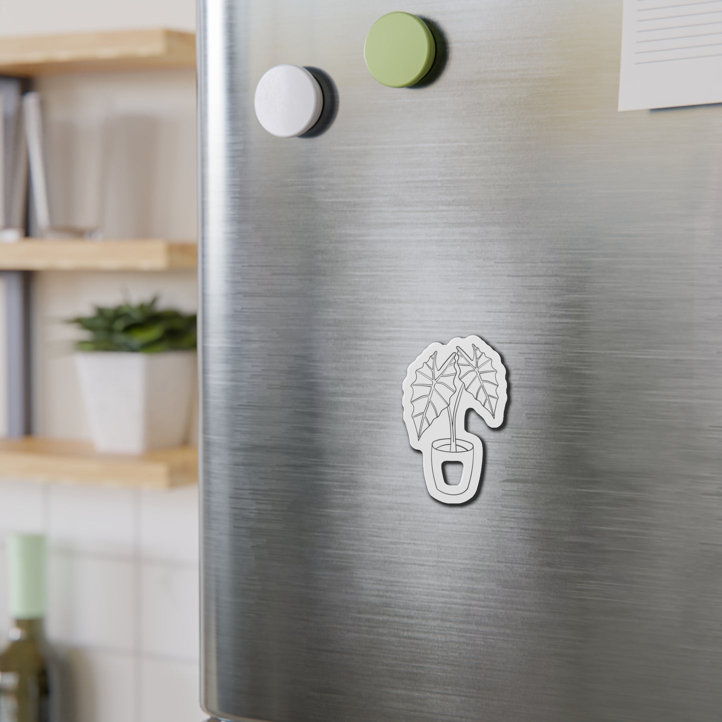 Alocasia Magnets