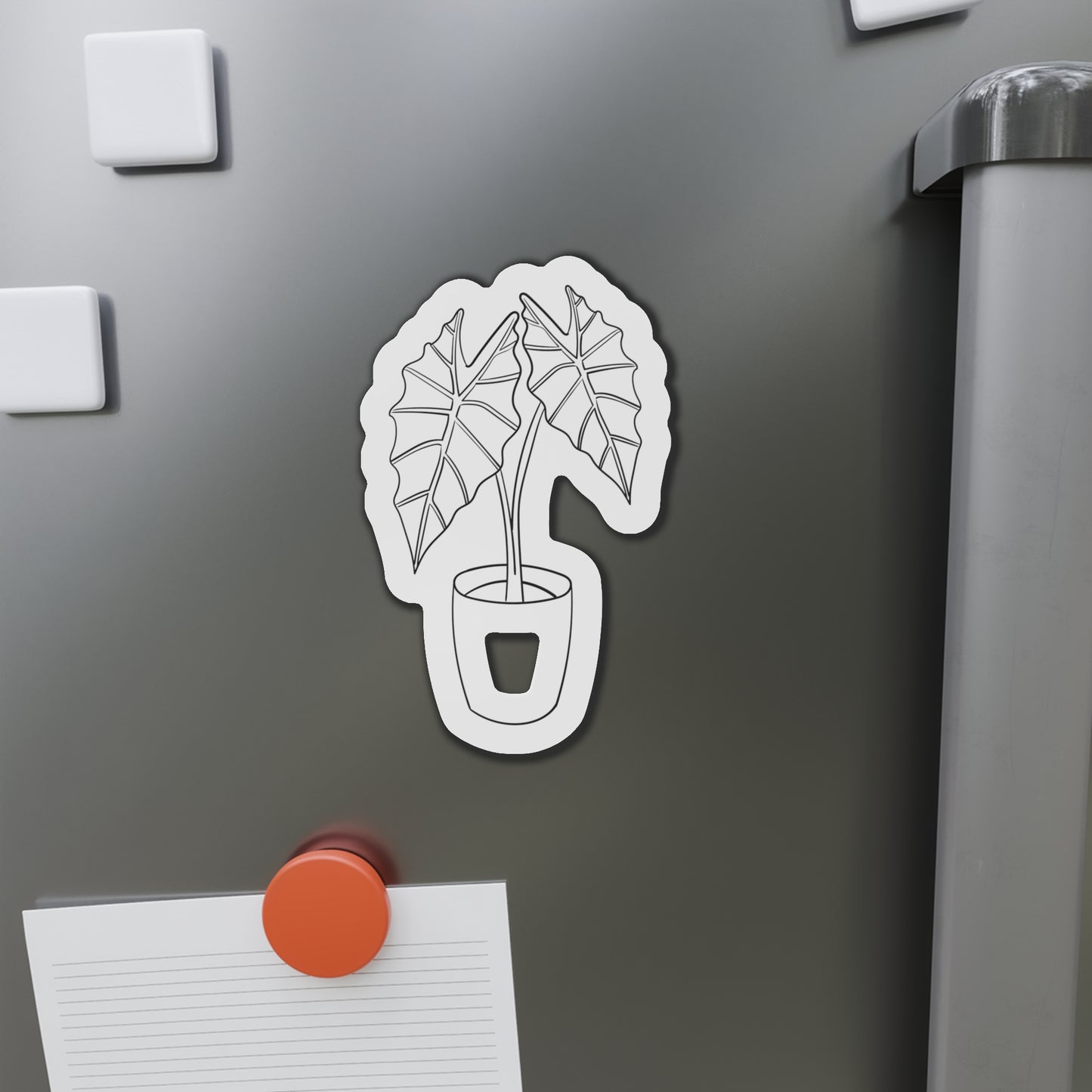 Alocasia Magnets