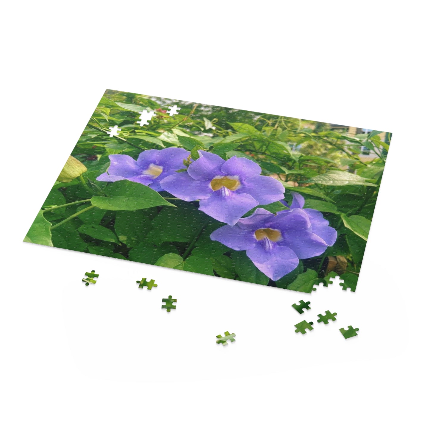 Thunbergia Flower Puzzle (120, 252, 500-Piece)