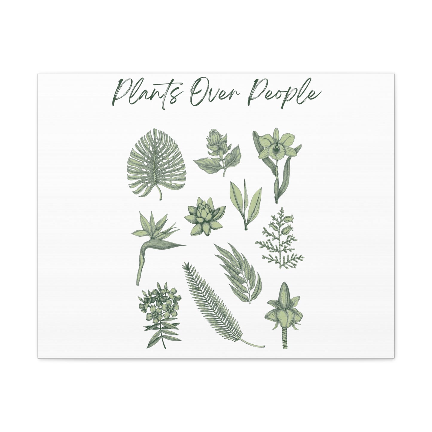 Plants Over People Canvas Gallery Wraps