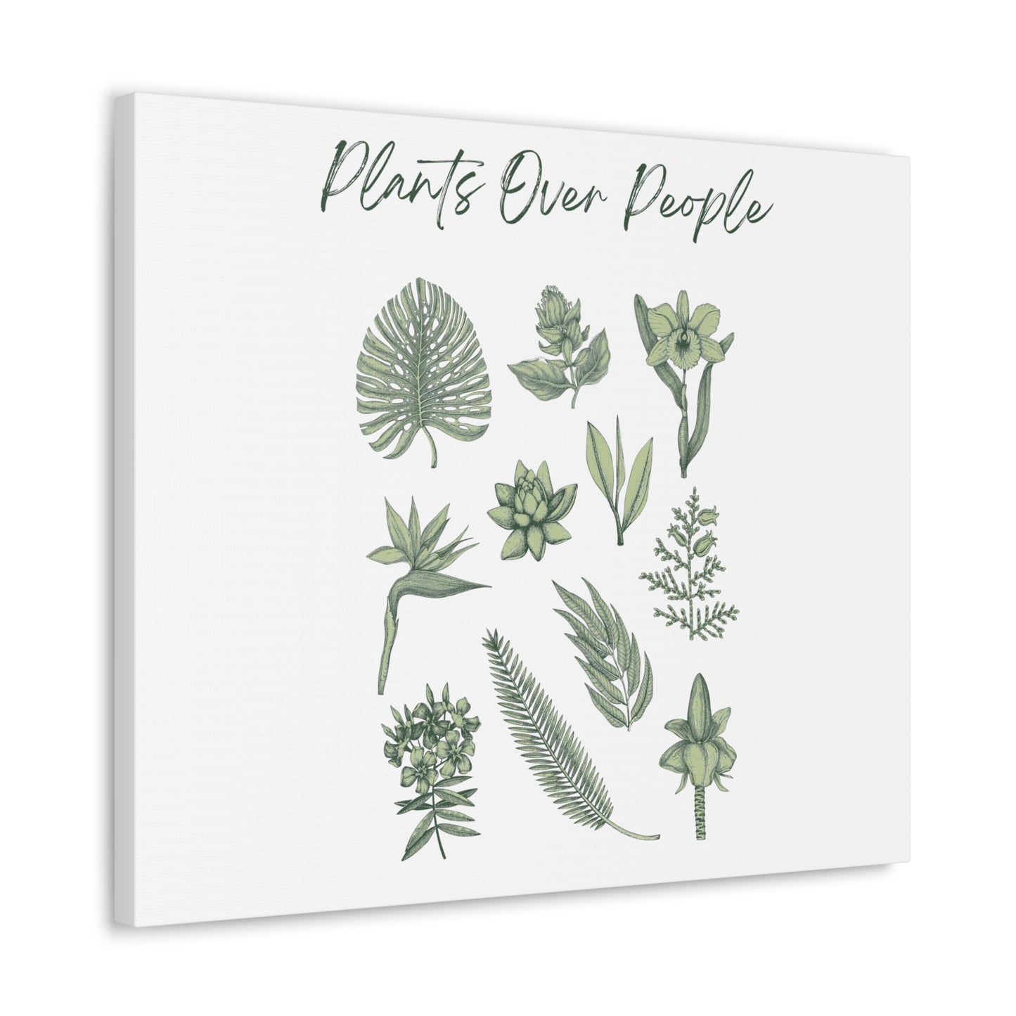 Plants Over People Canvas Gallery Wraps