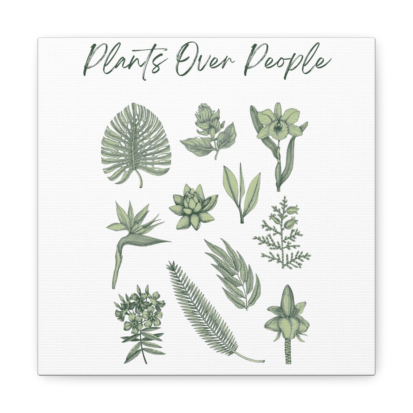 Plants Over People Canvas Gallery Wraps