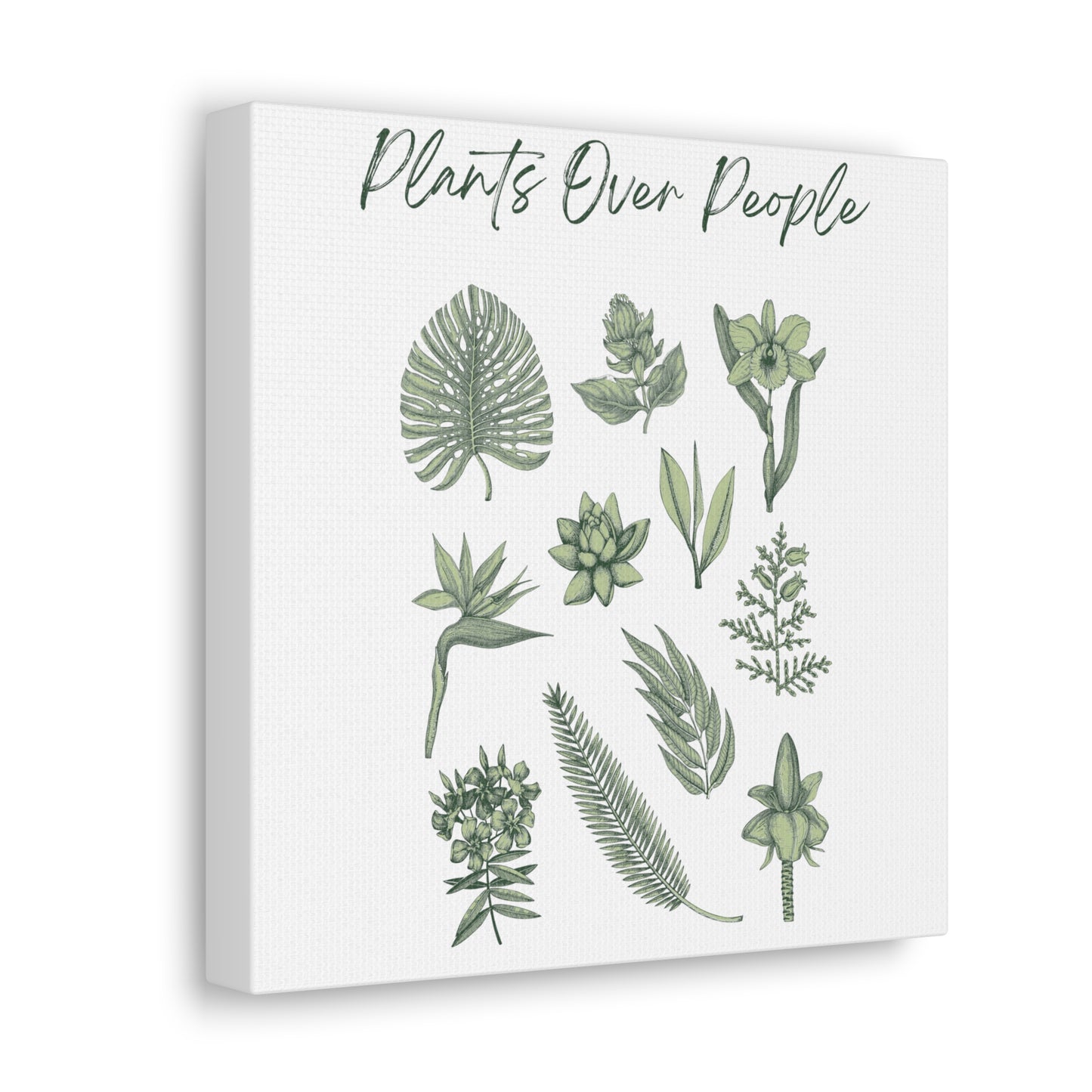 Plants Over People Canvas Gallery Wraps