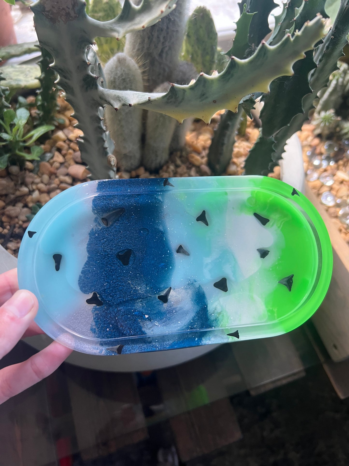 Shark tooth trinket dish & coaster