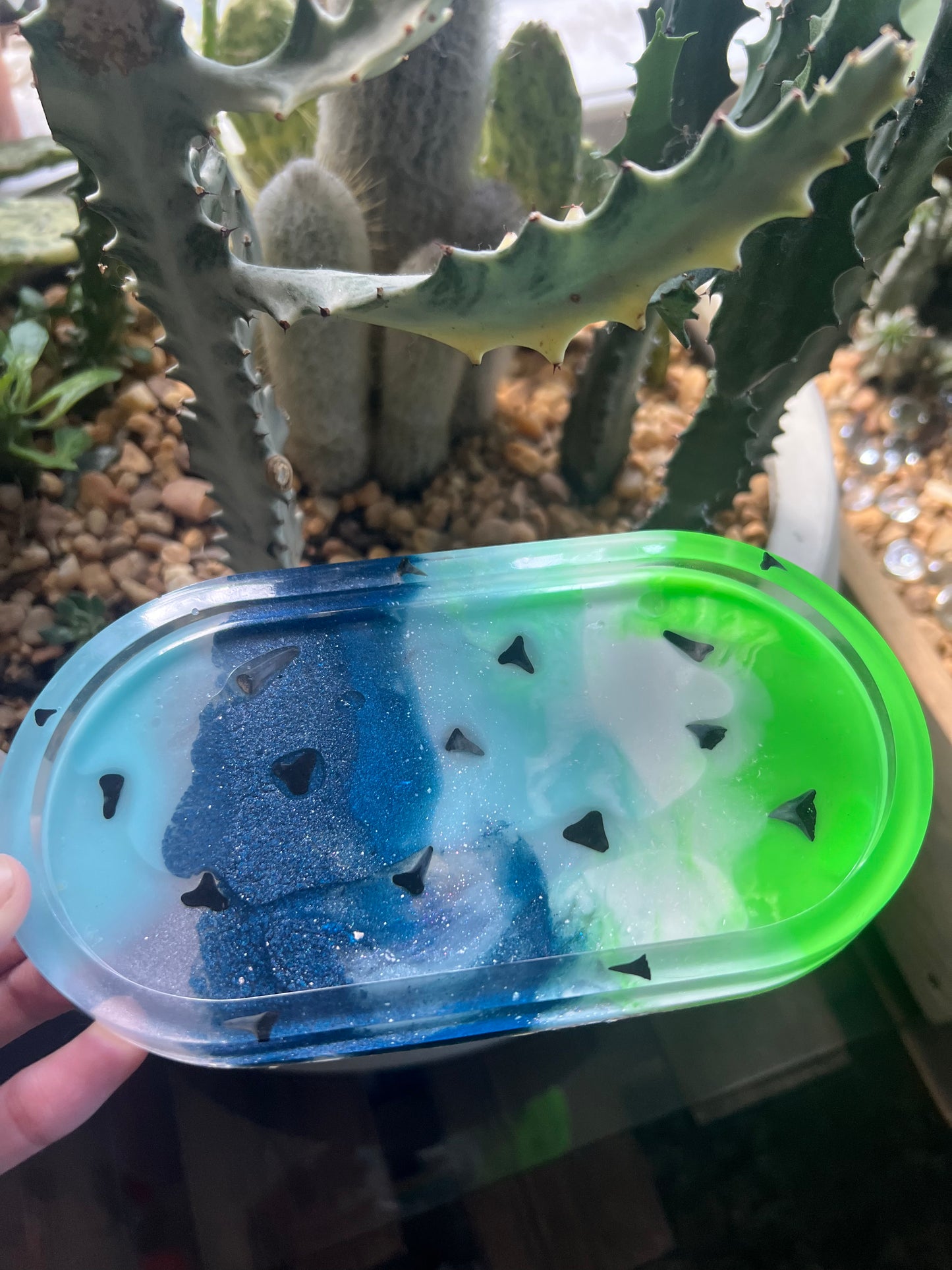 Shark tooth trinket dish & coaster