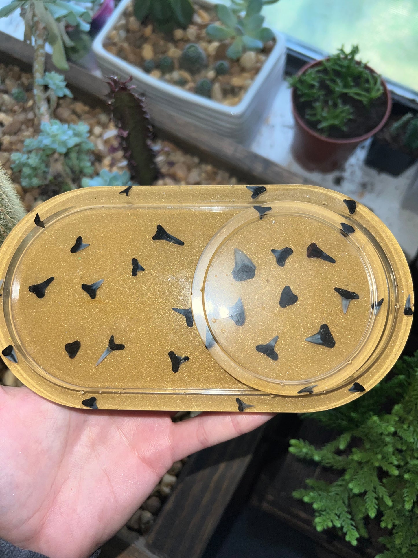 Handmade gold sharks tooth trinket dish & coaster set
