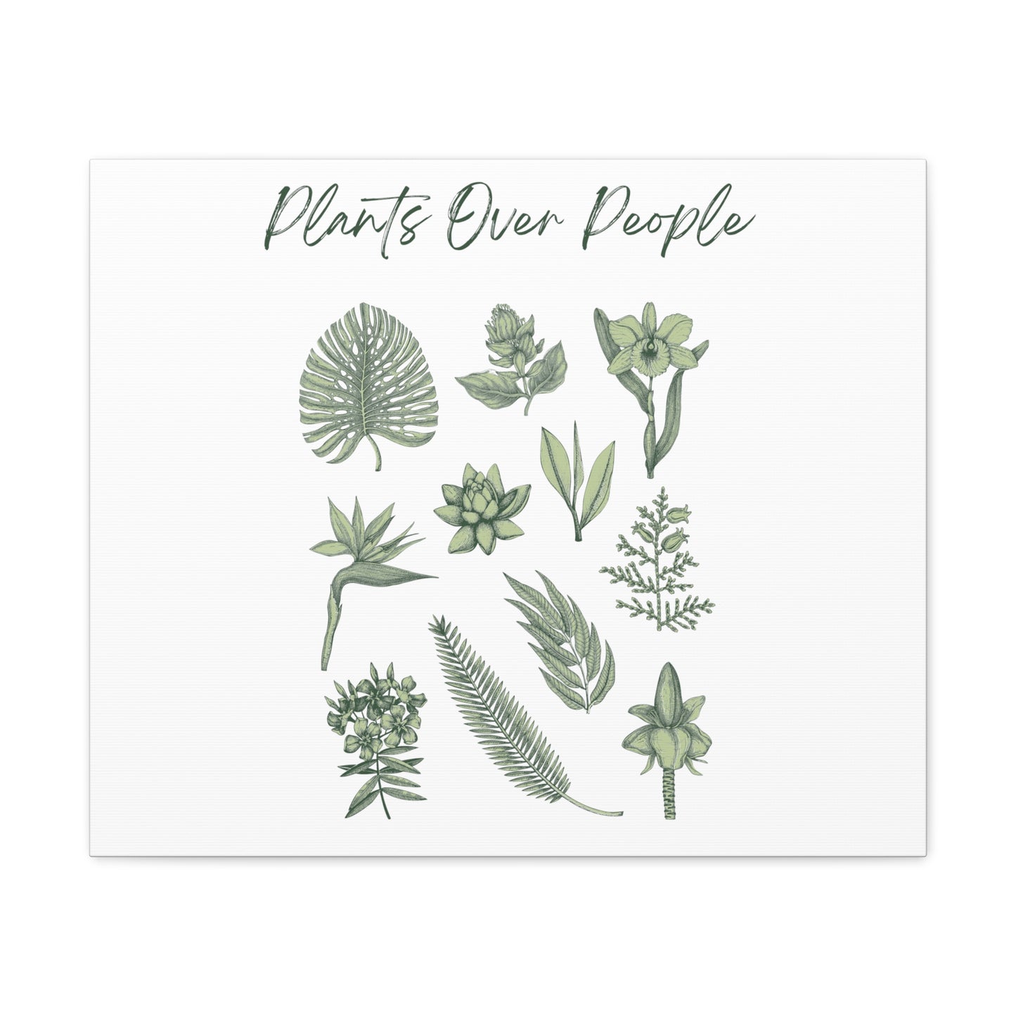 Plants Over People Canvas Gallery Wraps