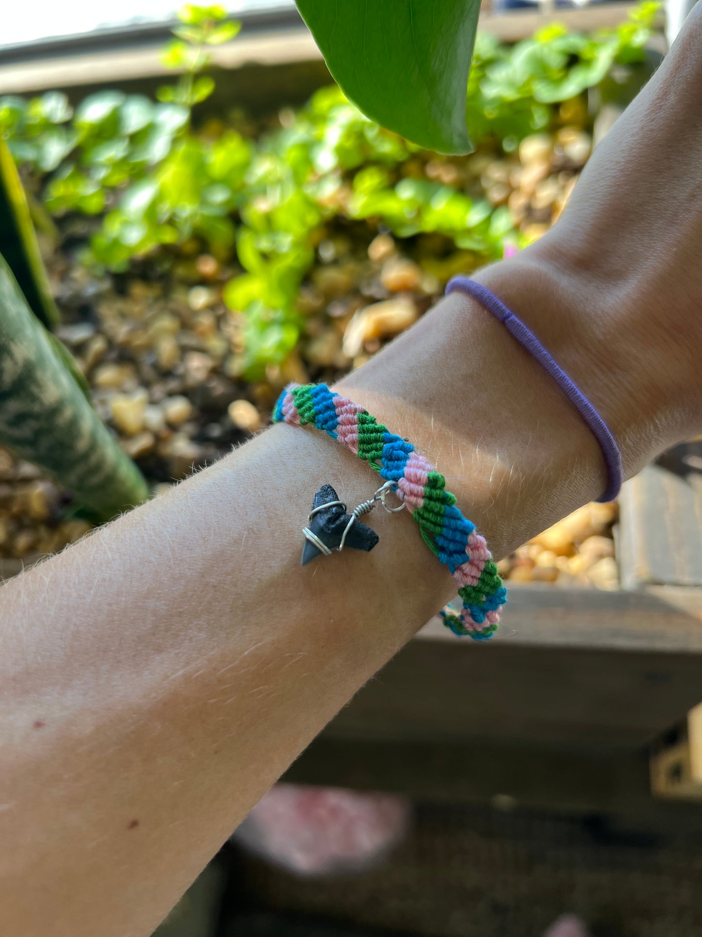 Custom sharks tooth friendship bracelet