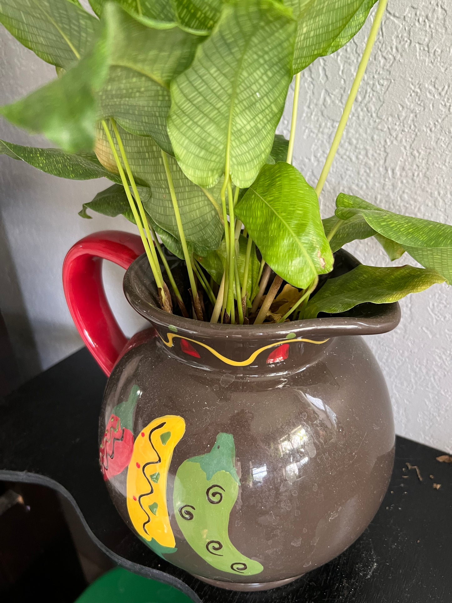 Calathea musica in vintage pitcher