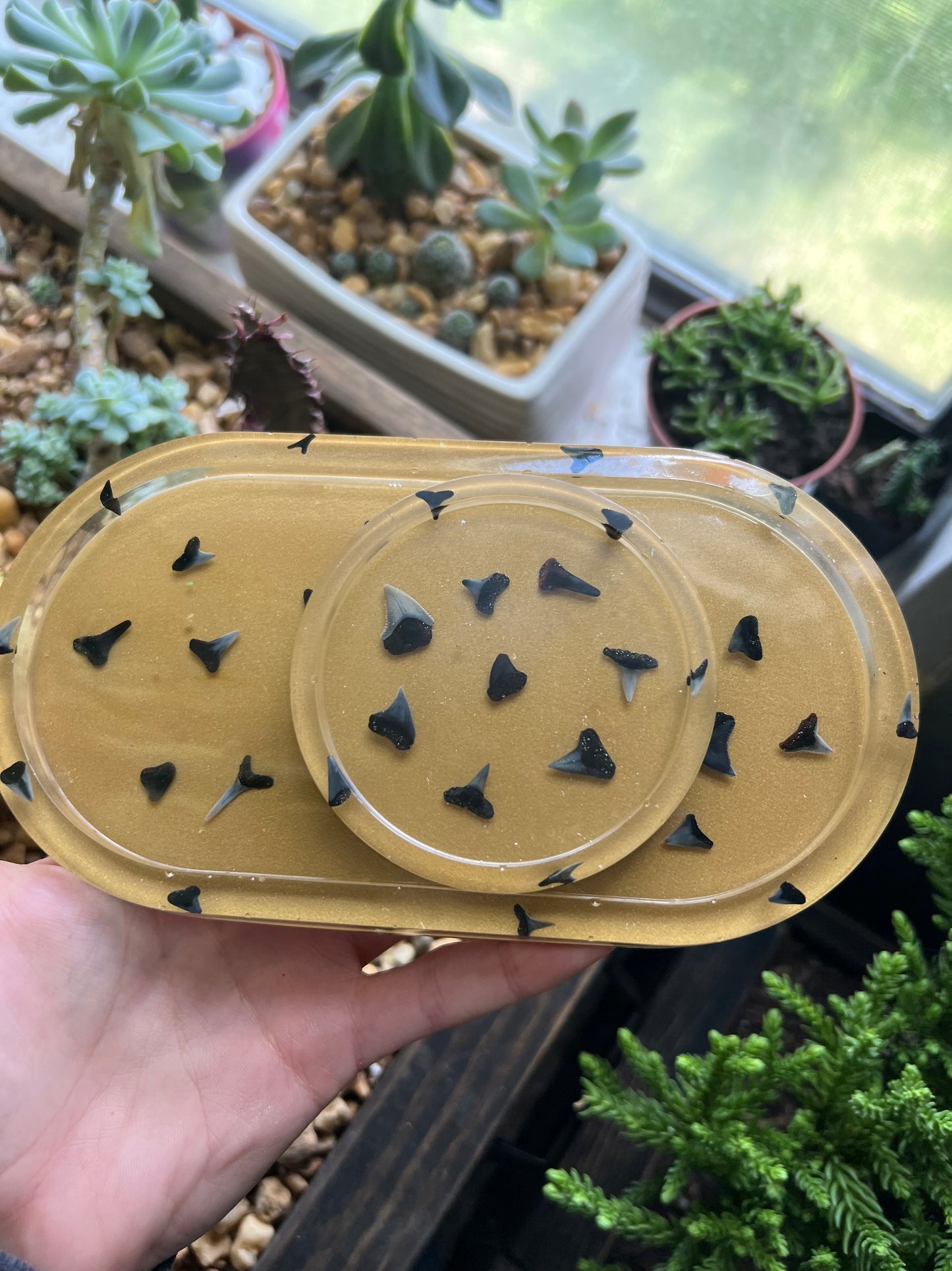 Handmade gold sharks tooth trinket dish & coaster set