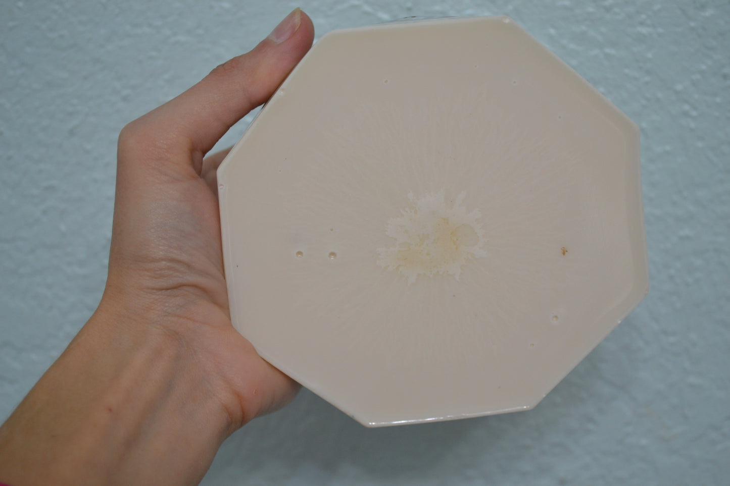Money tree leaf ashtray