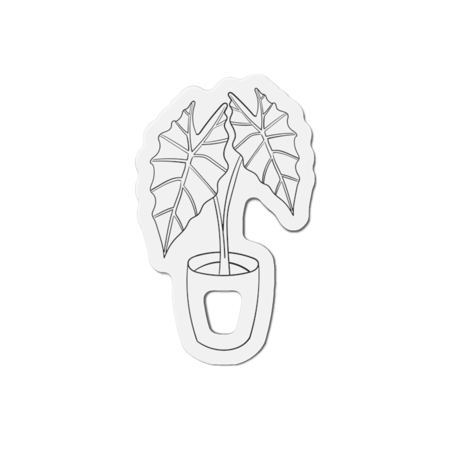 Alocasia Magnets