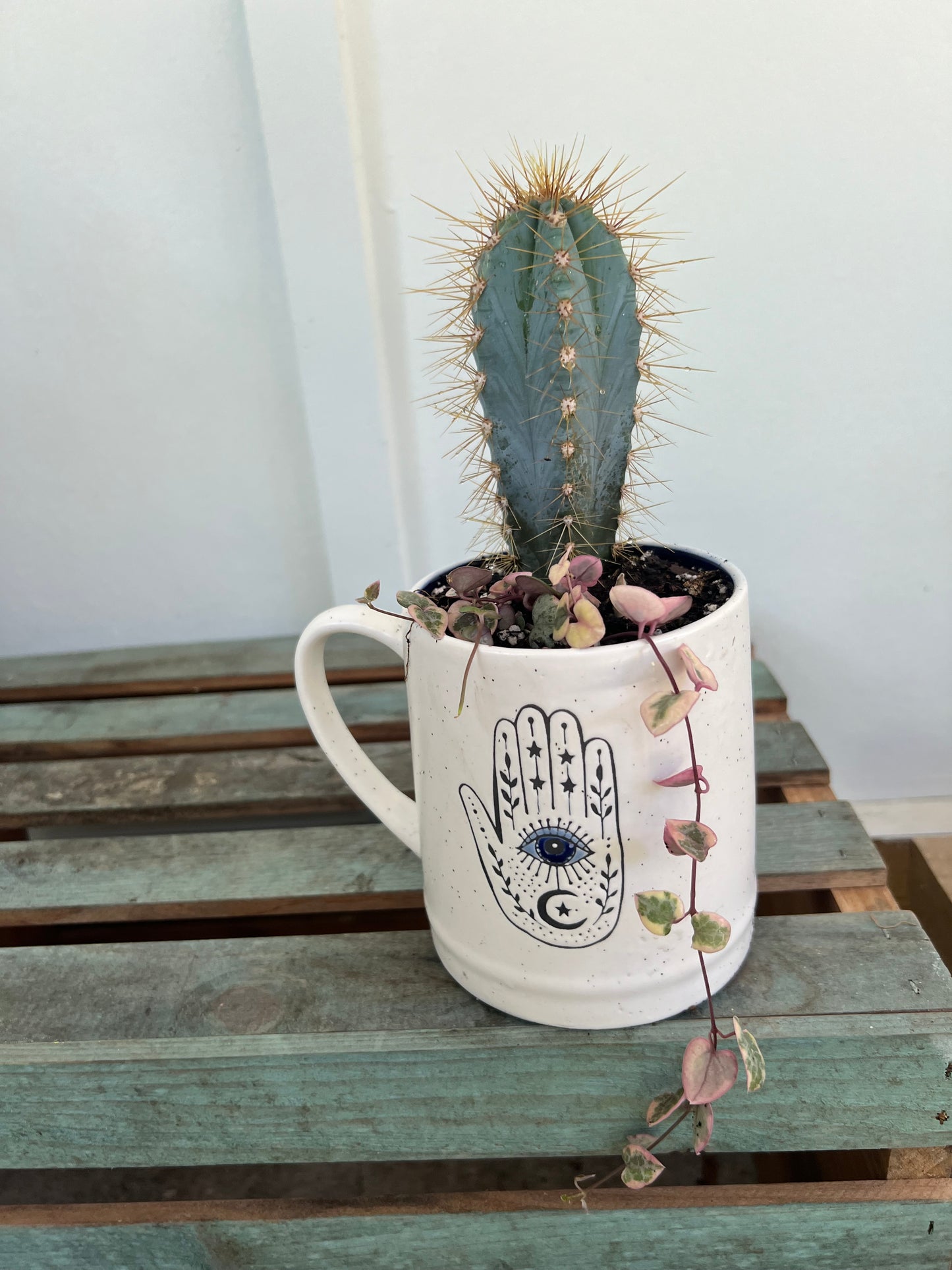Evil eye succulent mug