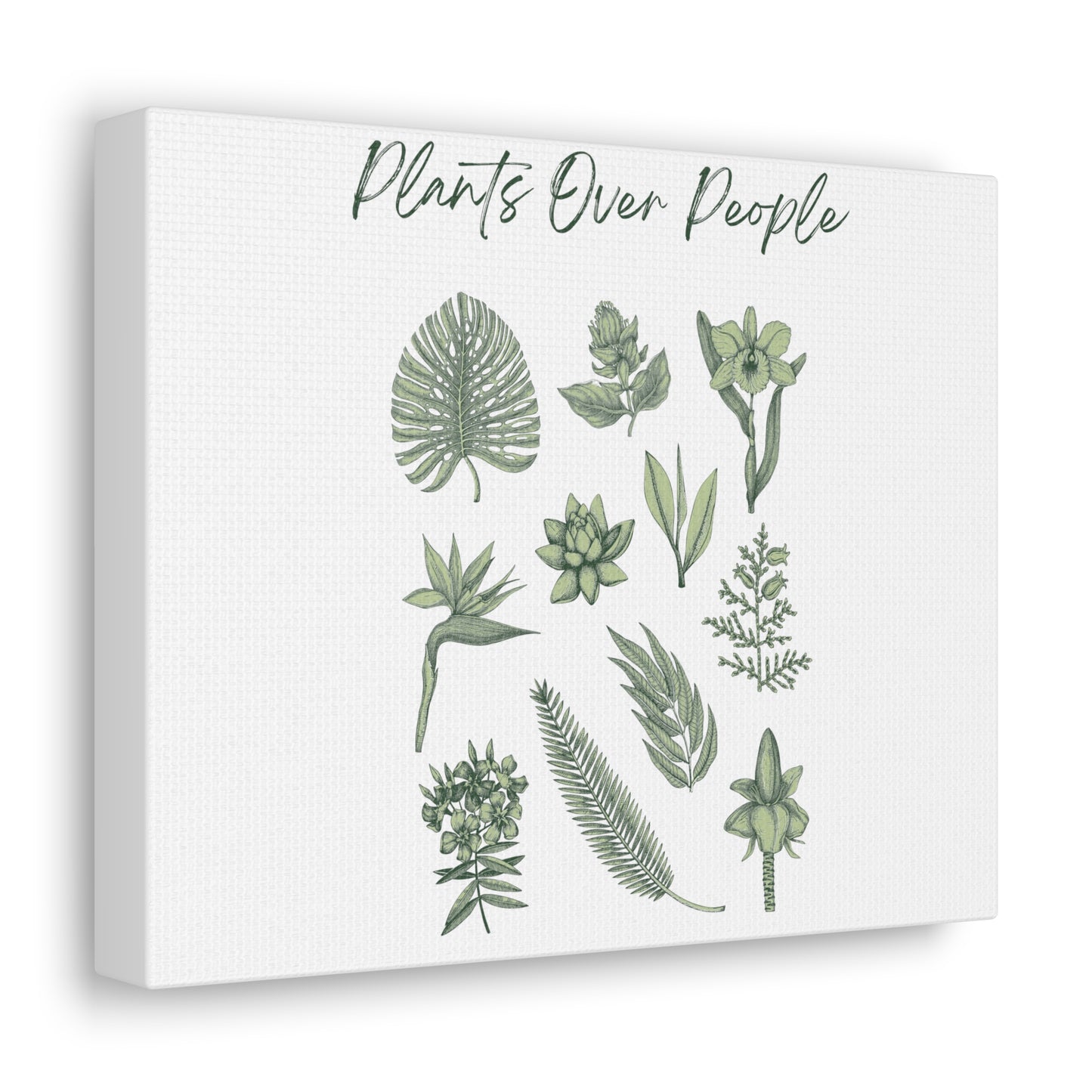 Plants Over People Canvas Gallery Wraps