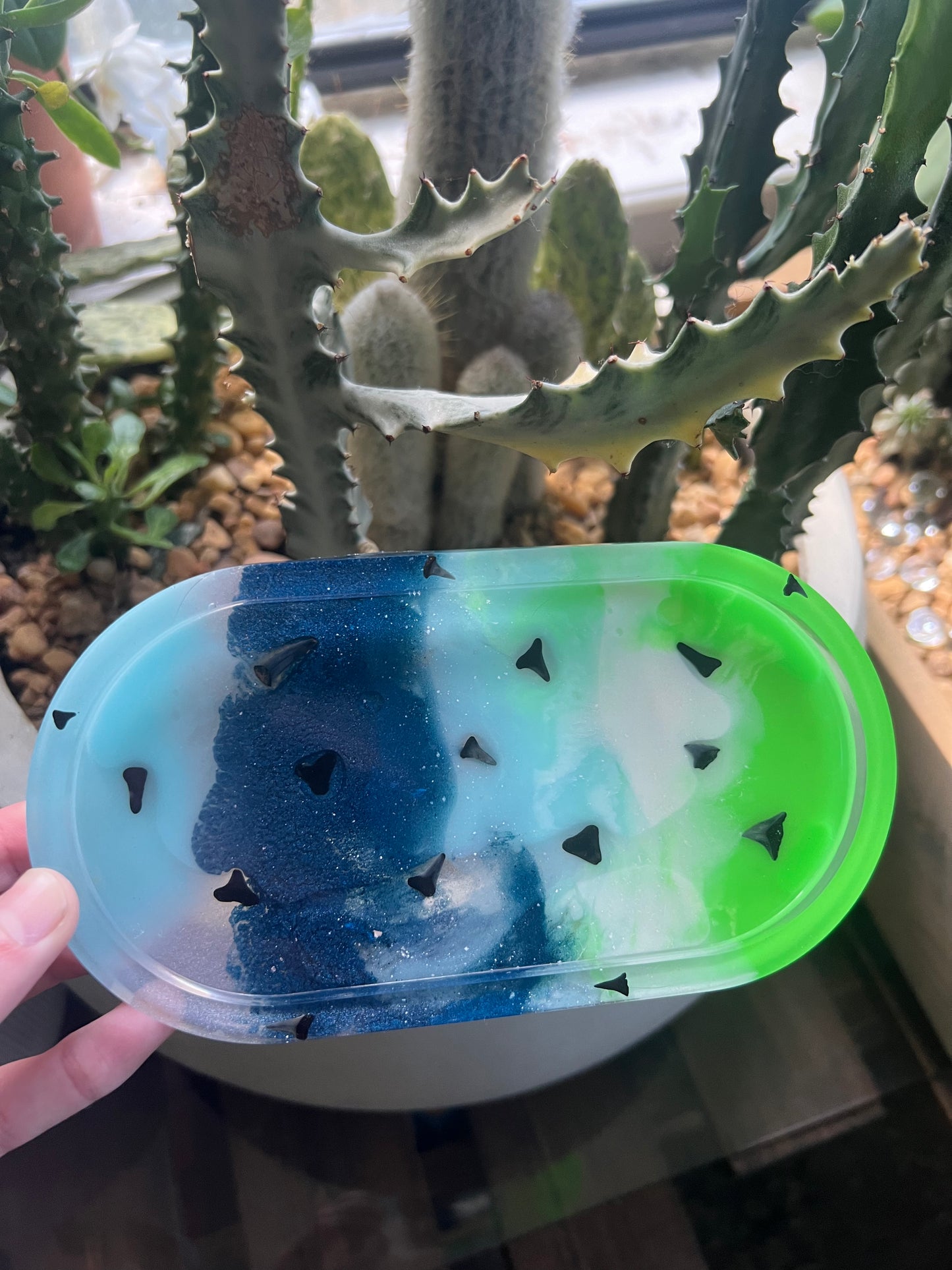 Shark tooth trinket dish & coaster