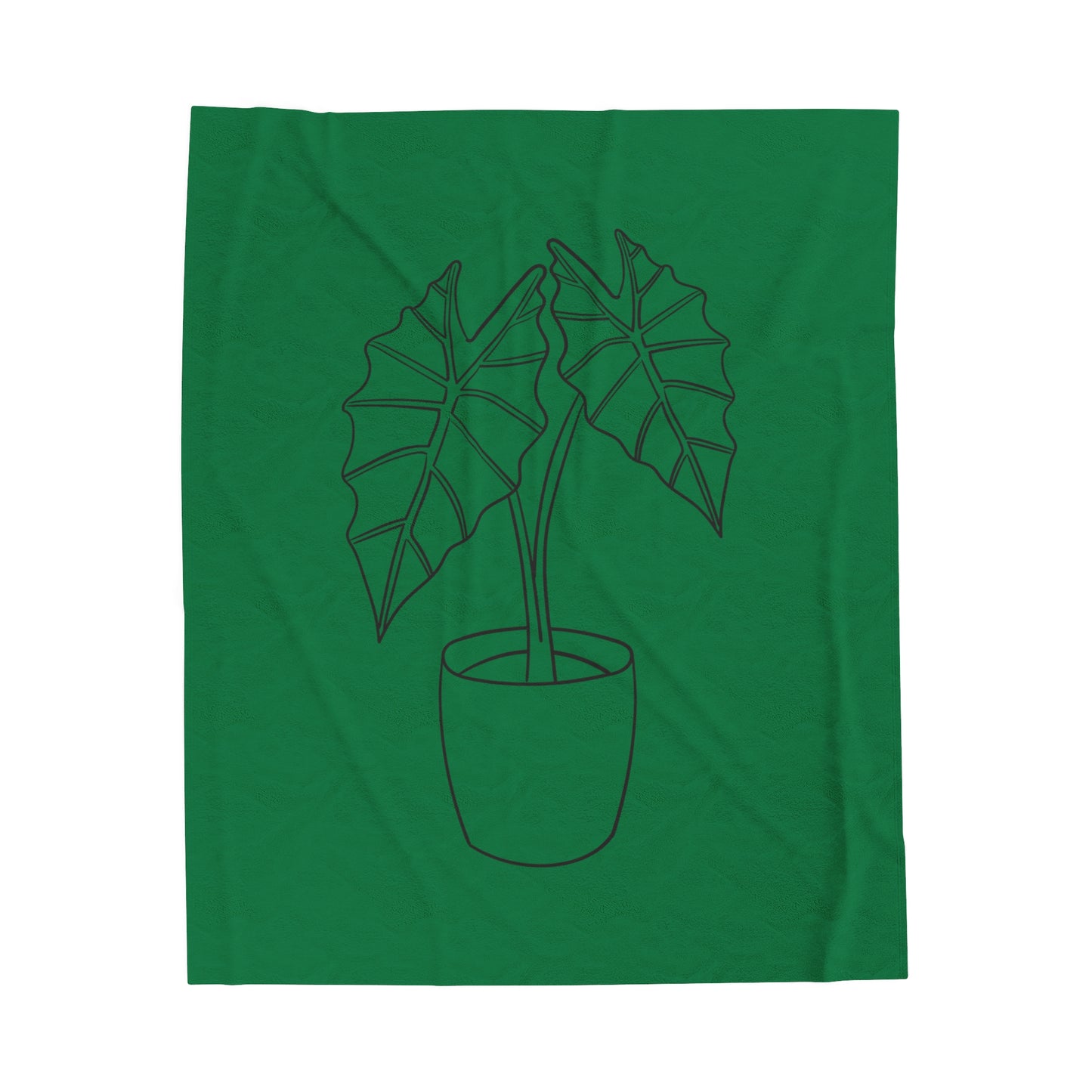 Alocasia Velveteen Plush Blanket