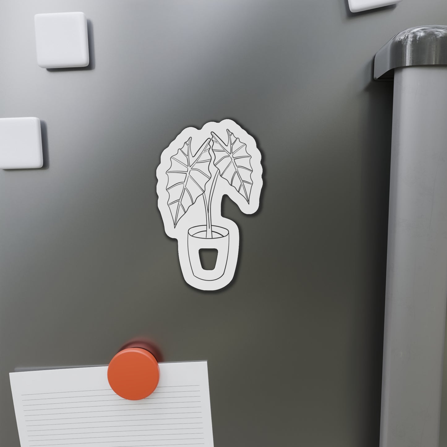 Alocasia Magnets