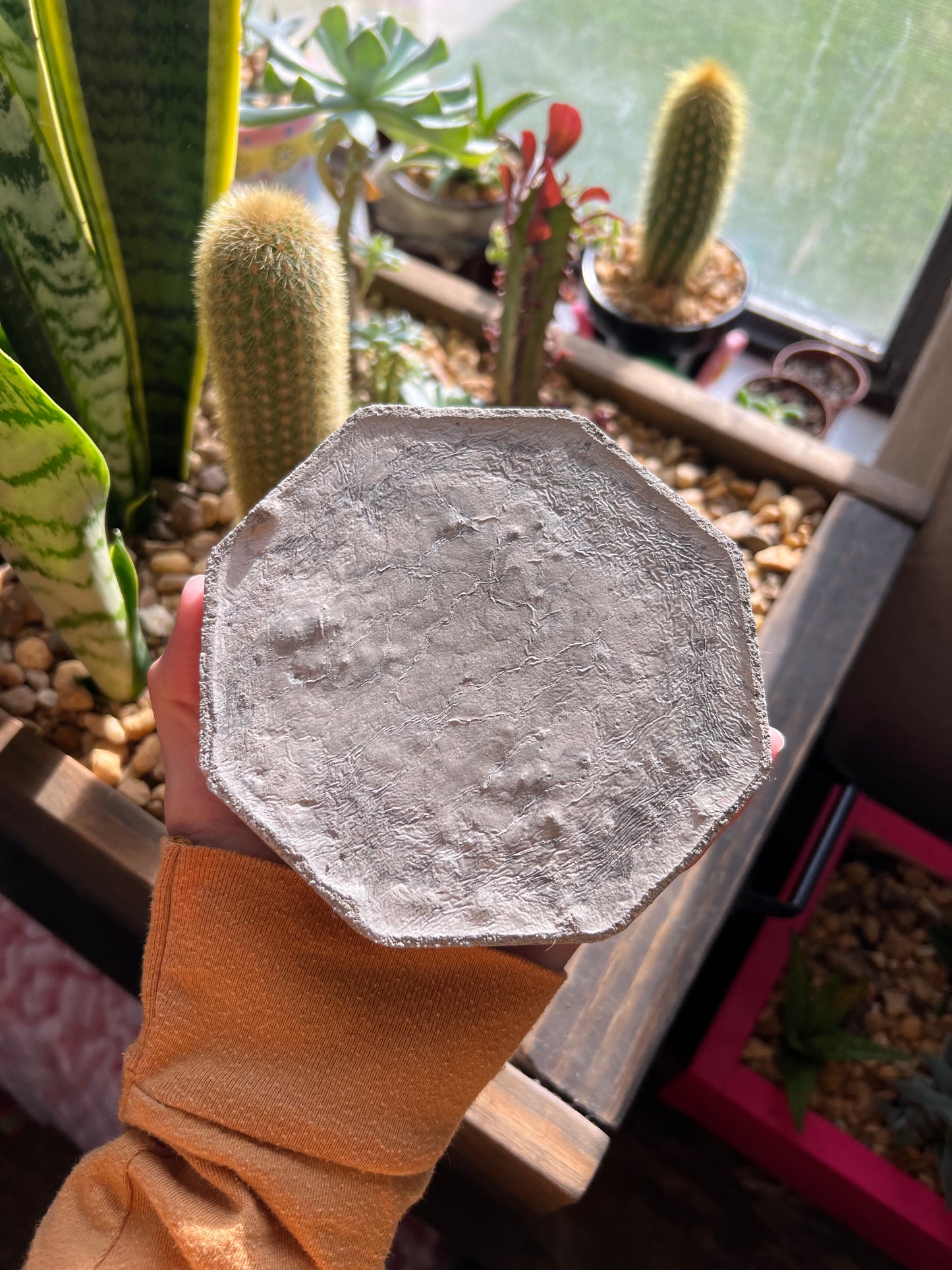 Handmade snail shell ashtray