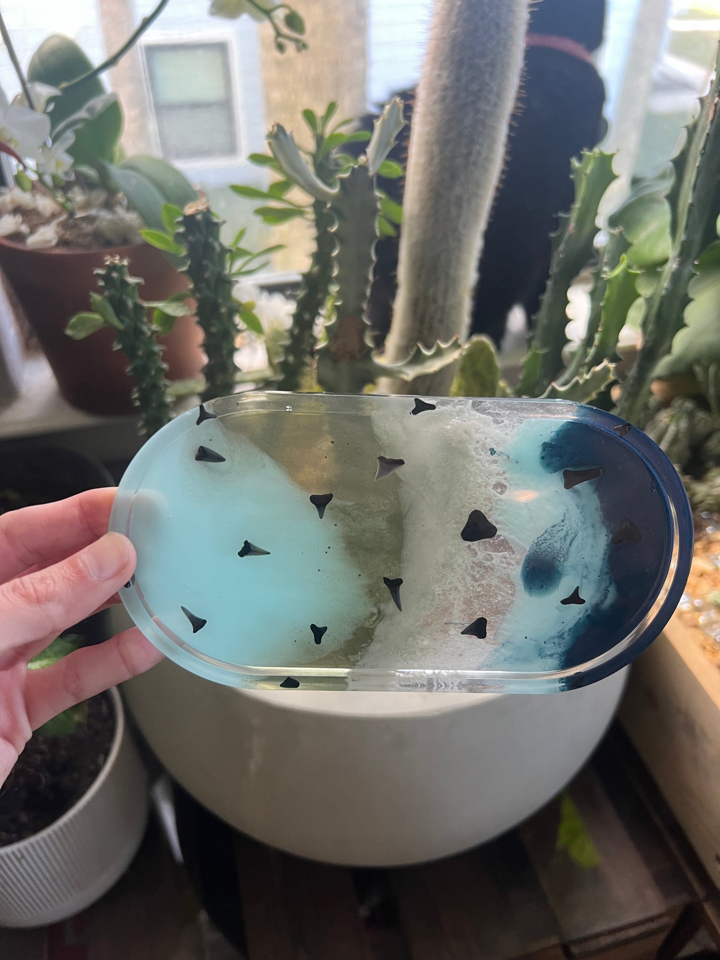 Shark tooth trinket dish & coaster