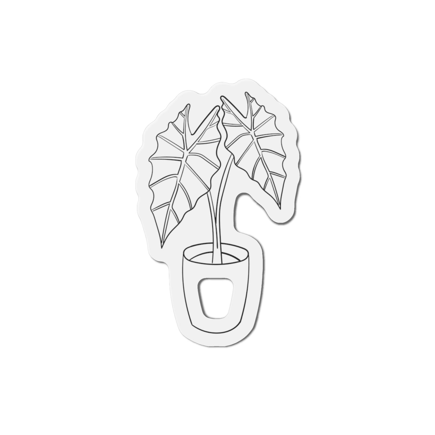 Alocasia Magnets