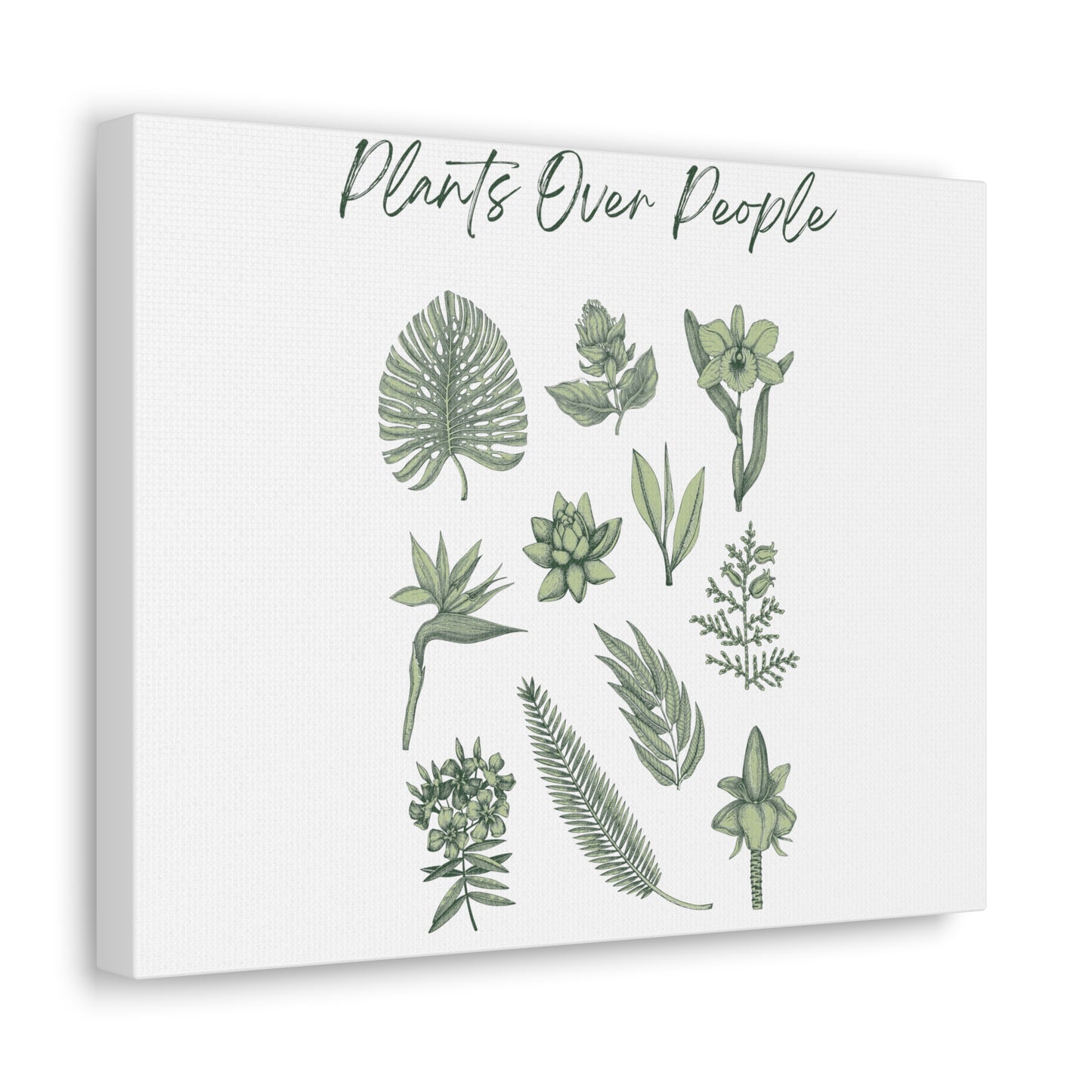 Plants Over People Canvas Gallery Wraps