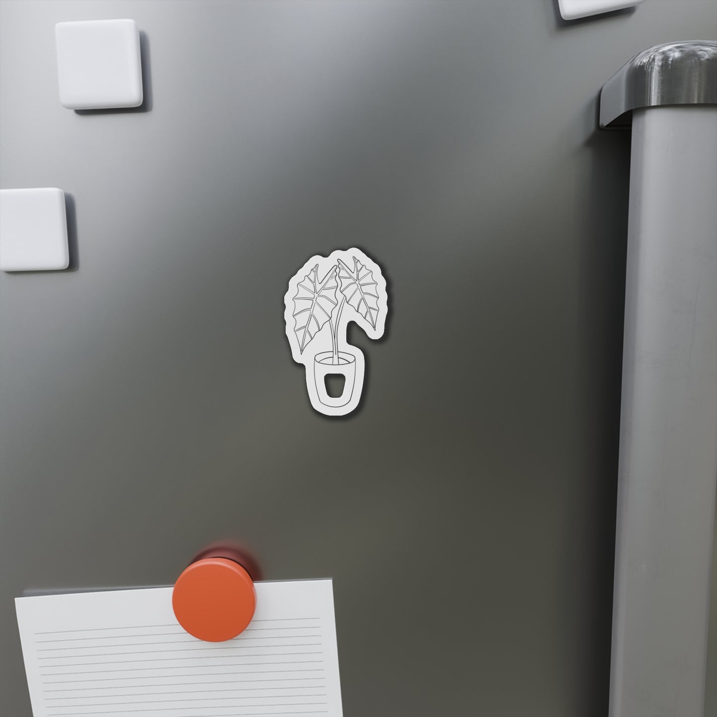 Alocasia Magnets