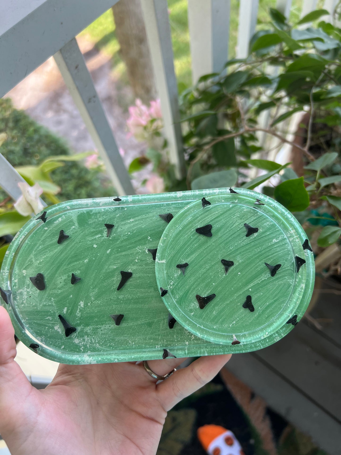 Green and blue color shifting sharks tooth trinket dish & coaster