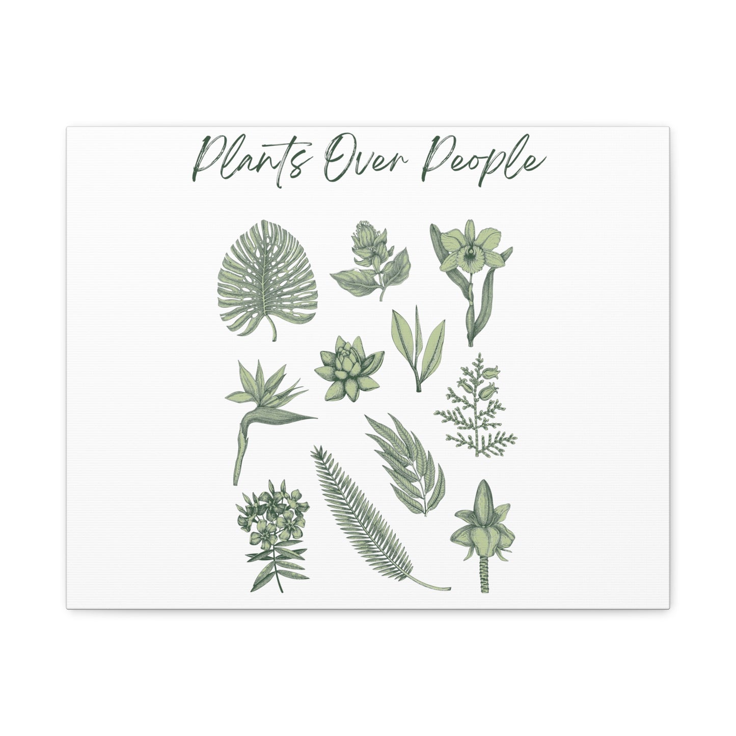 Plants Over People Canvas Gallery Wraps
