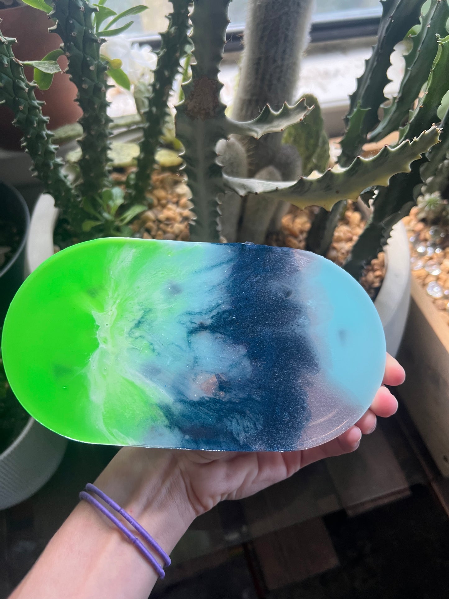 Shark tooth trinket dish & coaster