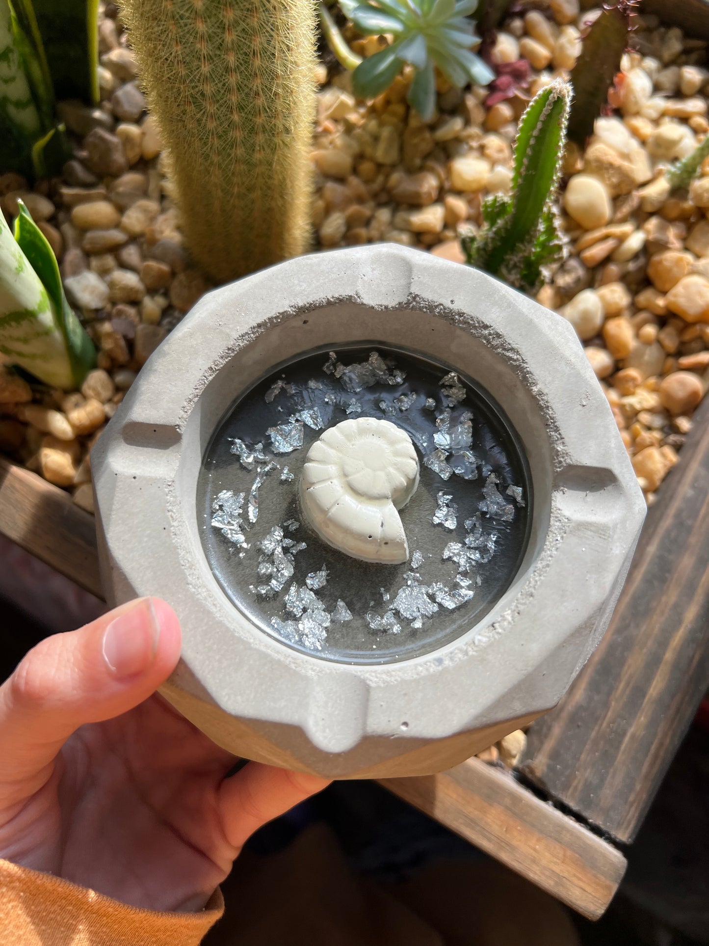 Handmade snail shell ashtray