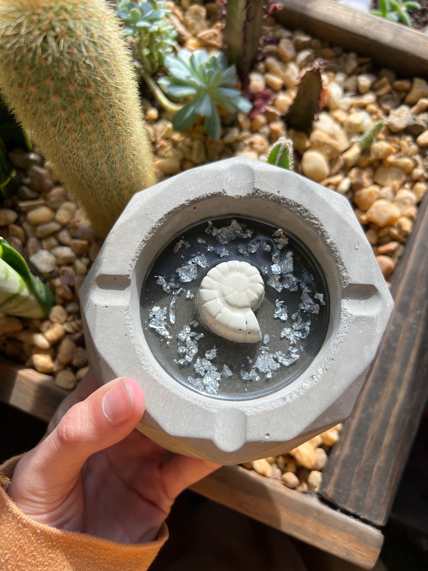 Handmade snail shell ashtray