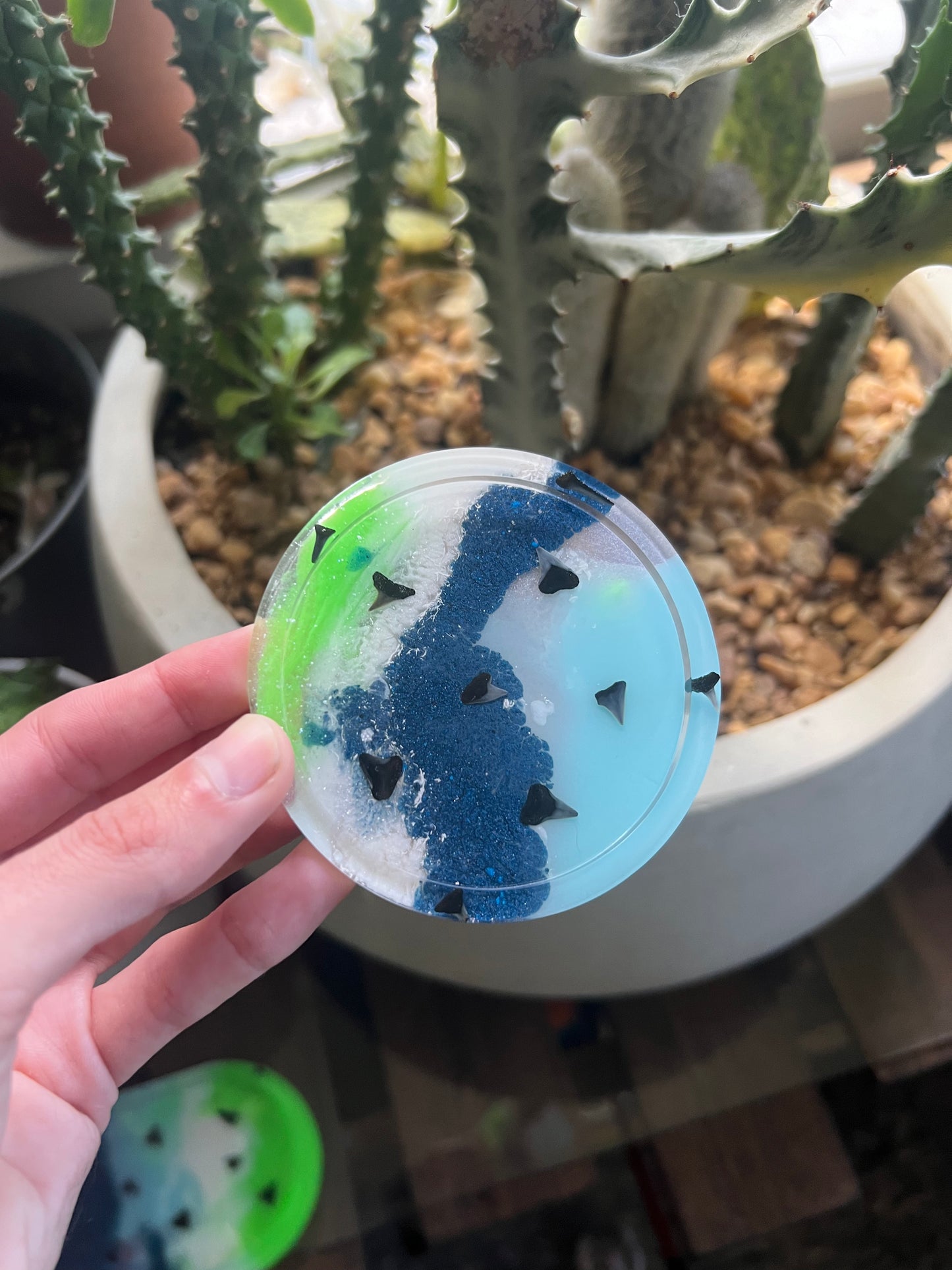 Shark tooth trinket dish & coaster
