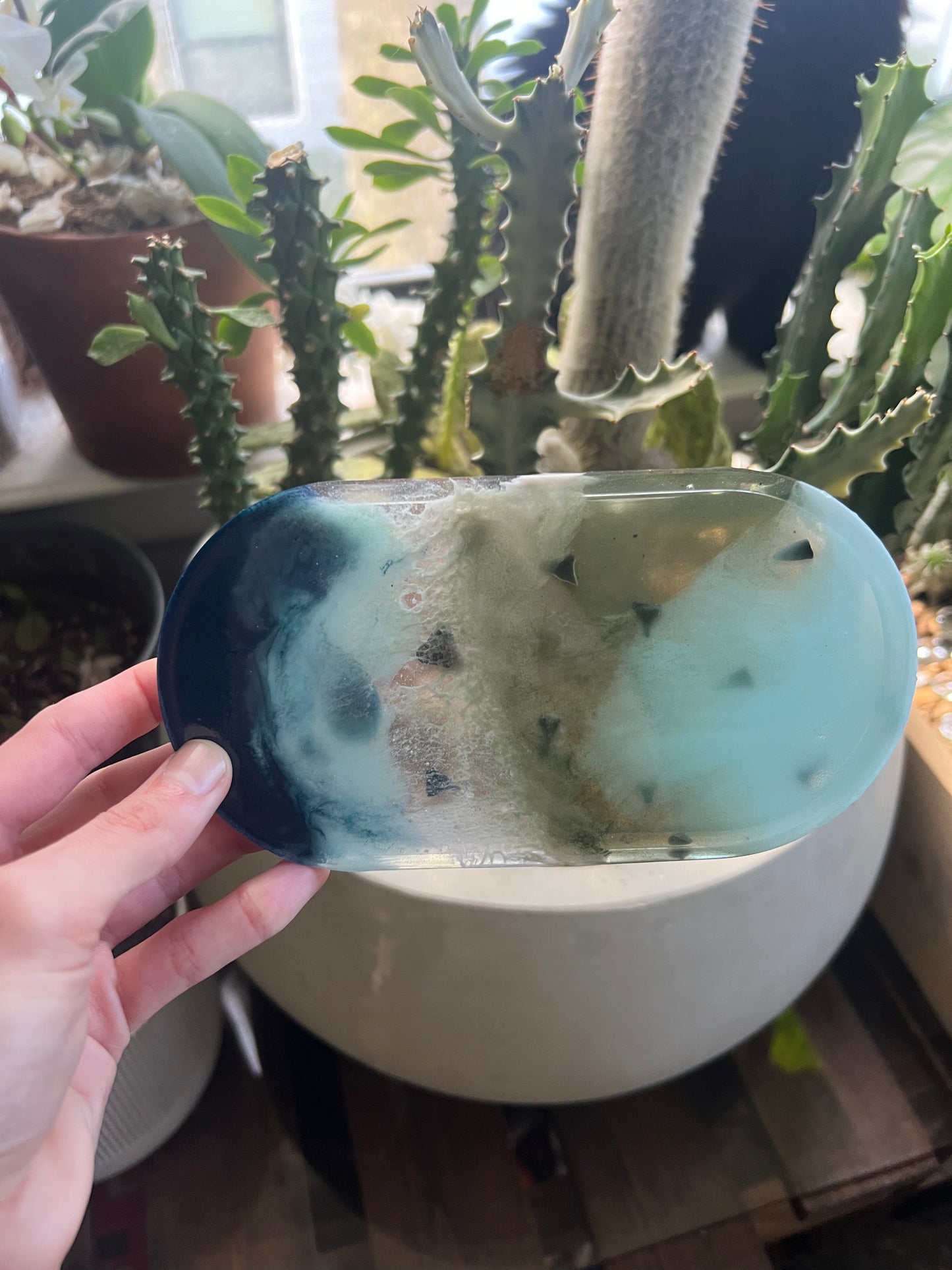 Shark tooth trinket dish & coaster