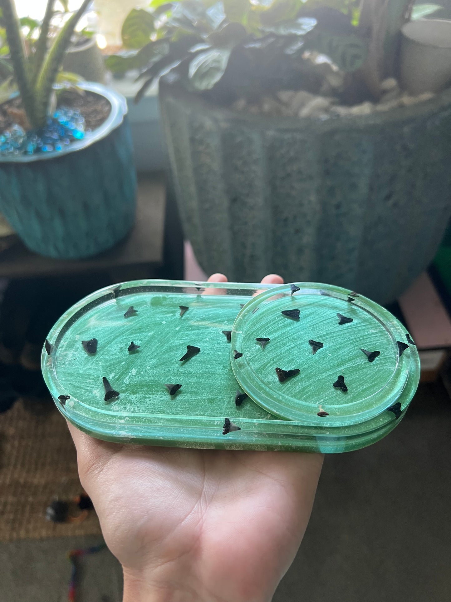 Green and blue color shifting sharks tooth trinket dish & coaster