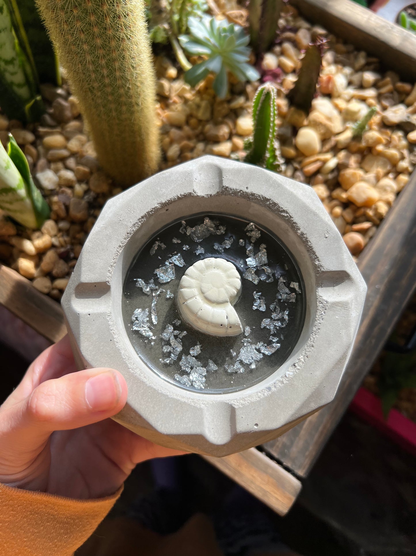 Handmade snail shell ashtray