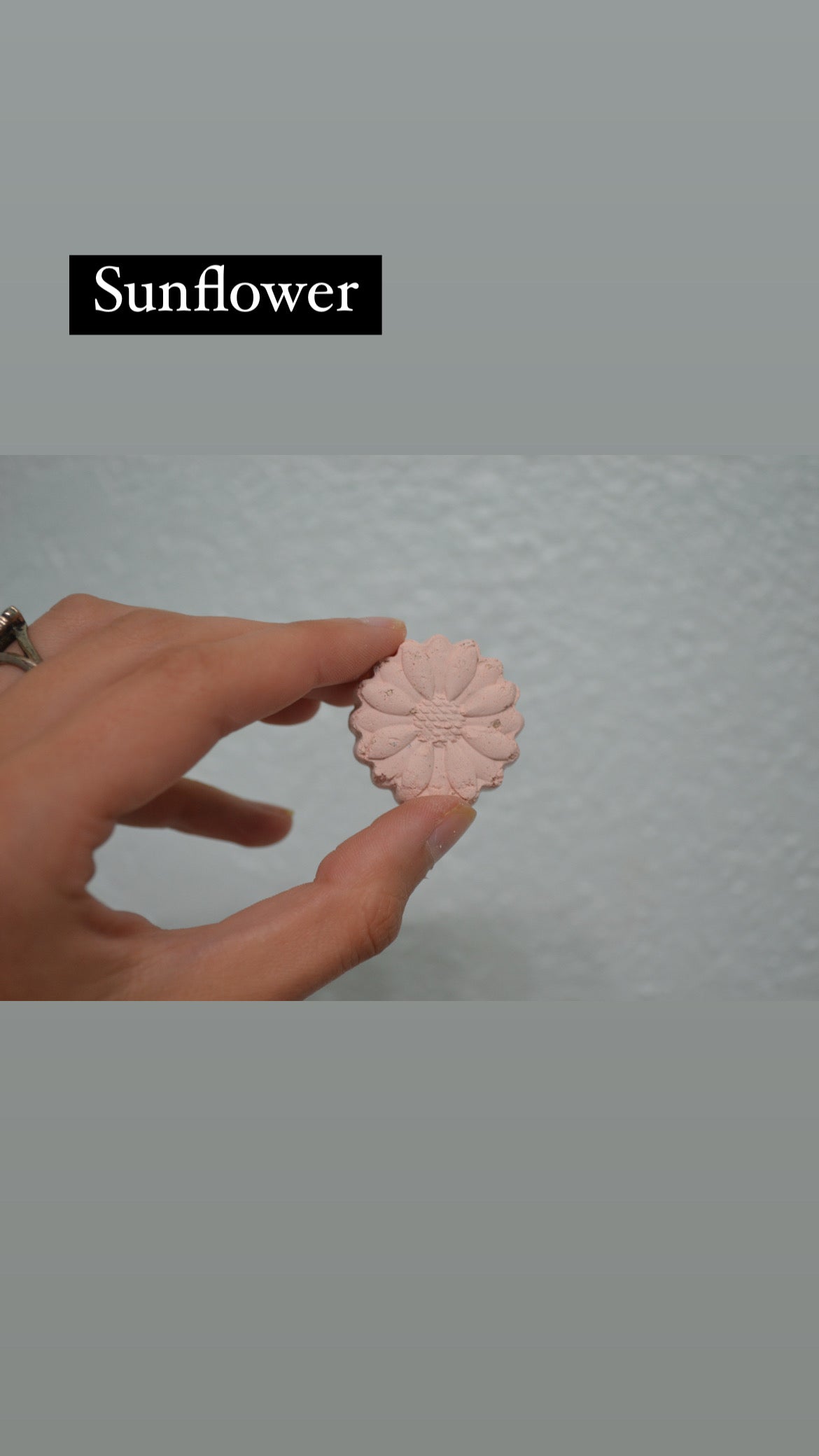 Pollinator Garden Seed Bombs