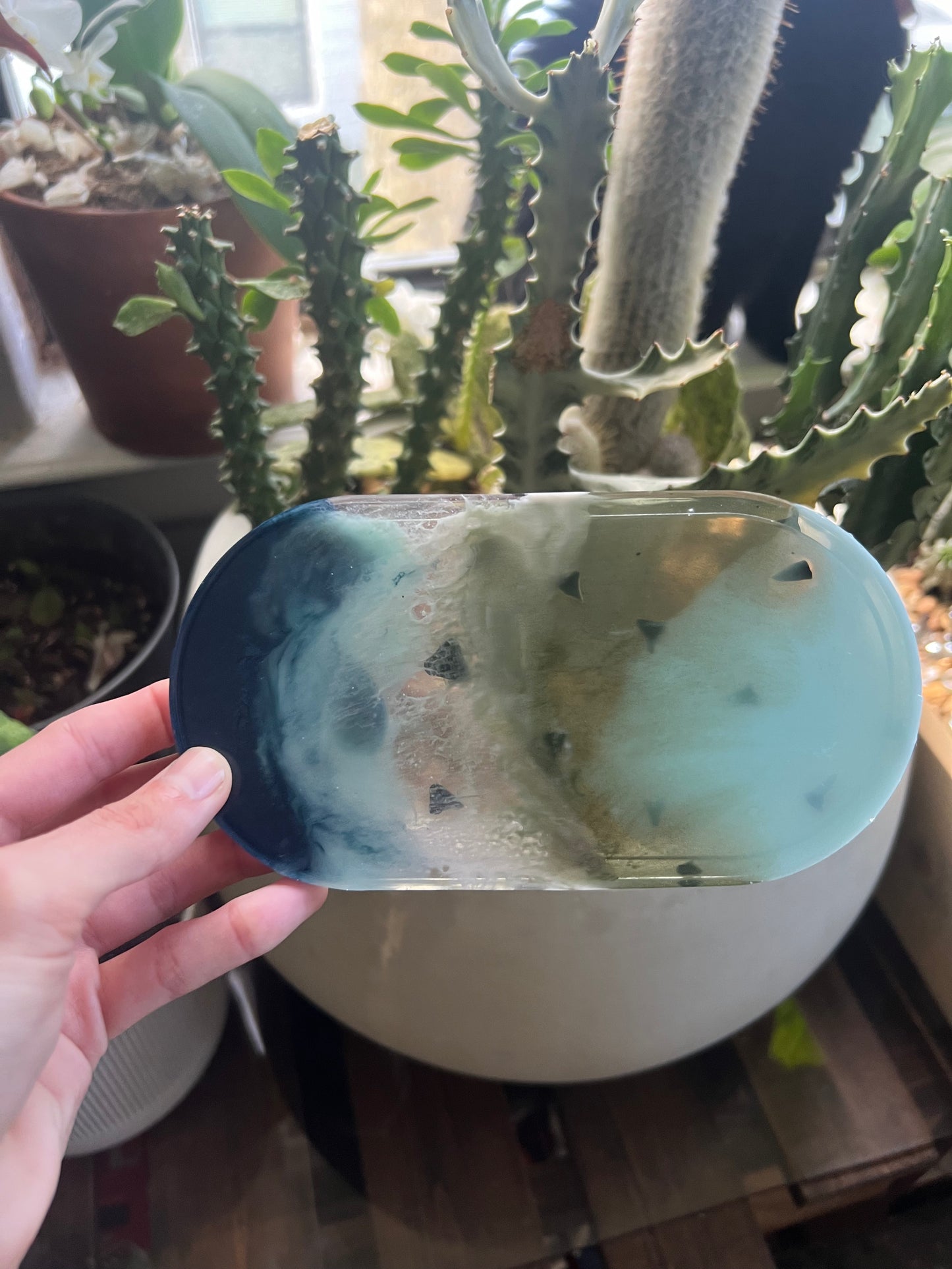 Shark tooth trinket dish & coaster