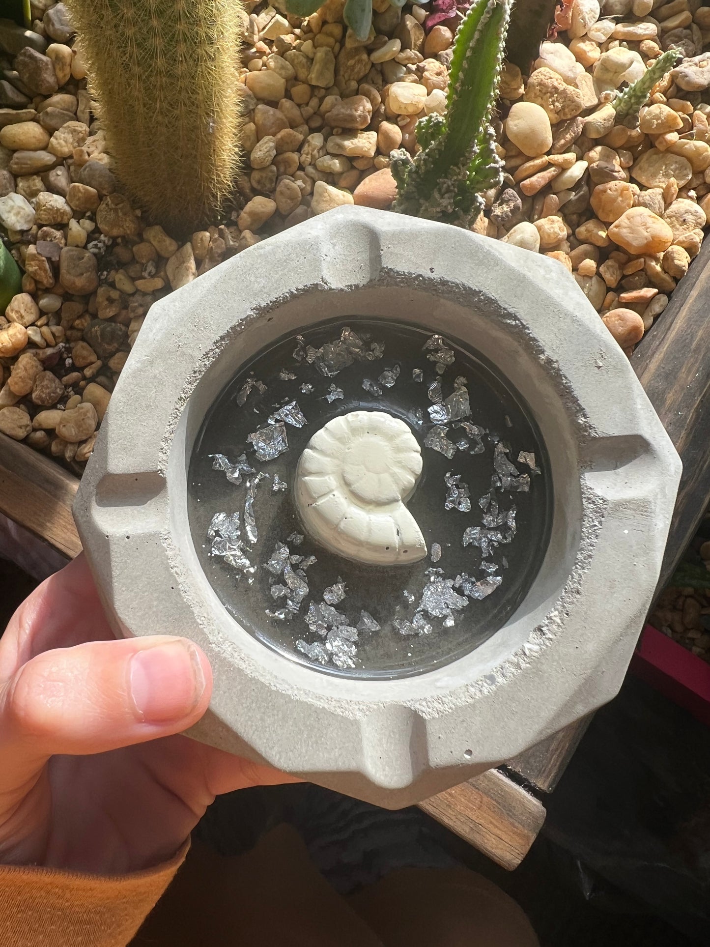 Handmade snail shell ashtray
