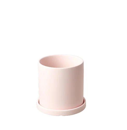 Matte Finish Cylinder Pot- 5.5in