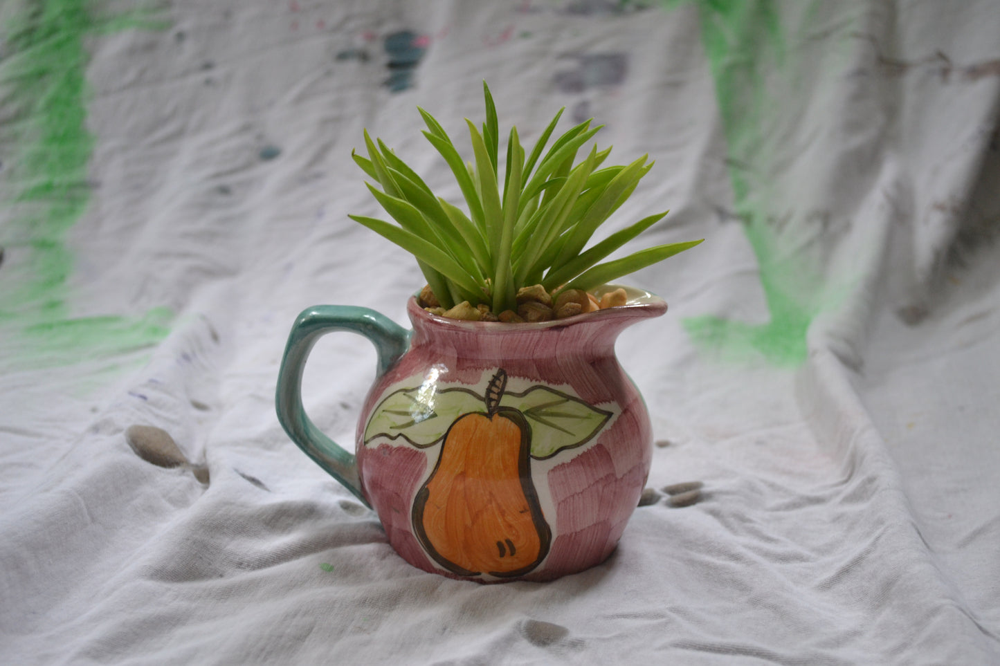 Mini Fruit Pitcher