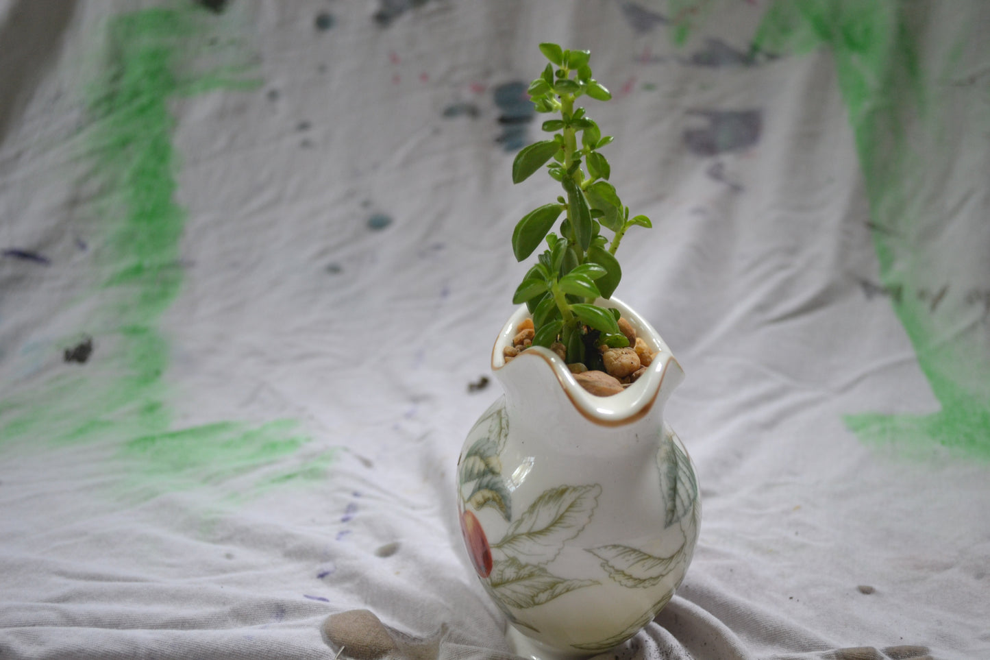 Planted Ceramic Cream Cup