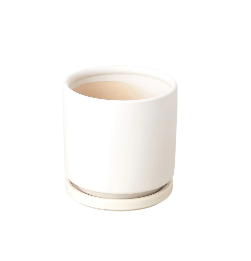 Cylinder Pot- 4in