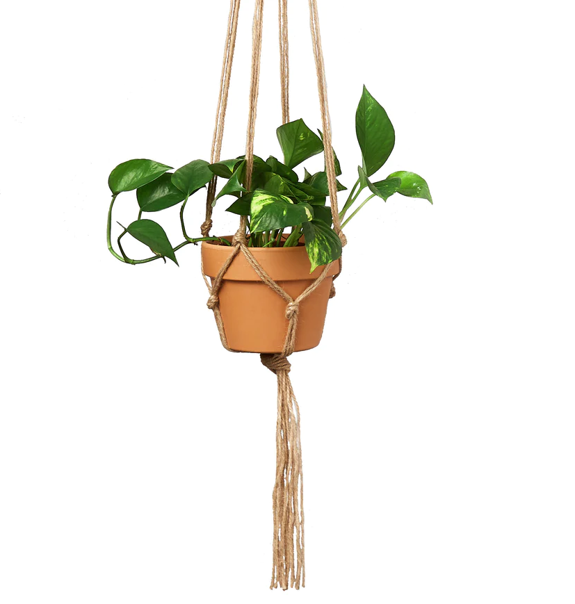 Macrame Hanger - Designed for 5 - 7 inch Planters