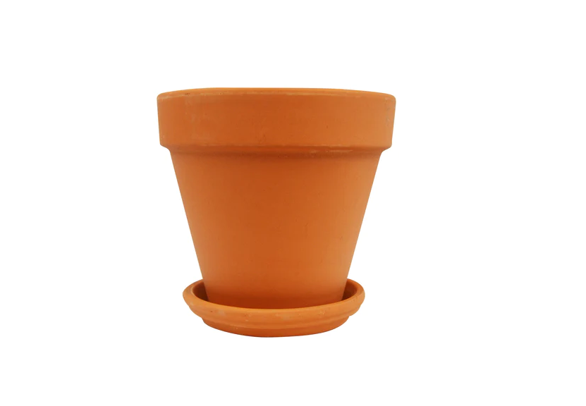 Terra Cotta Planters